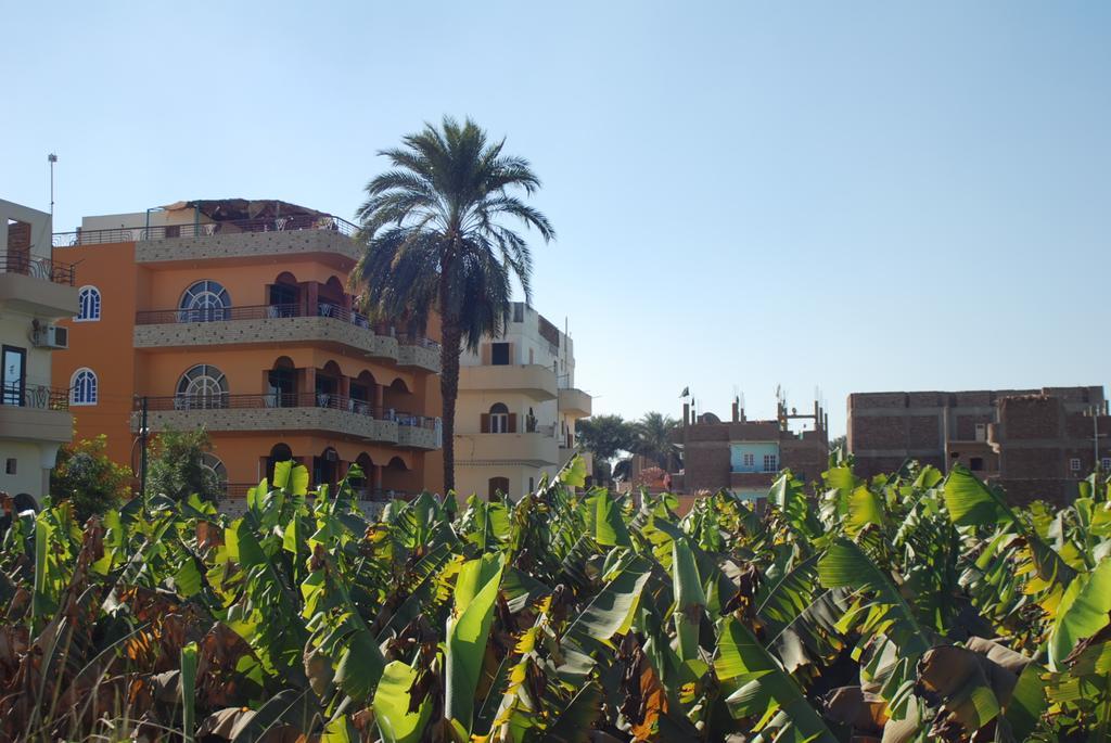 Al Gezera Apartments Luxor Rom bilde